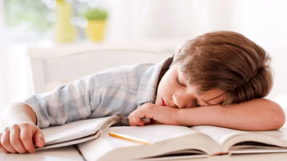 کیفیت خواب چه تاثیری بر میزان یادگیری دارد